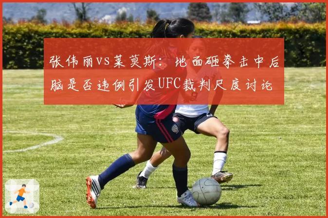 张伟丽vs莱莫斯：地面砸拳击中后脑是否违例引发UFC裁判尺度讨论