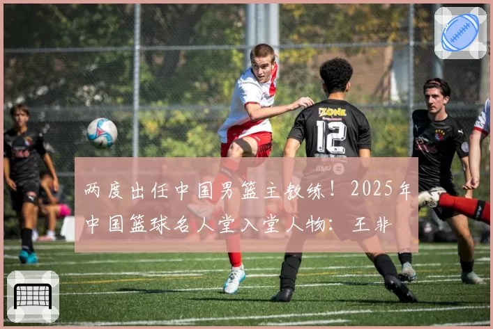 两度出任中国男篮主教练!2025年中国篮球名人堂入堂人物:王非