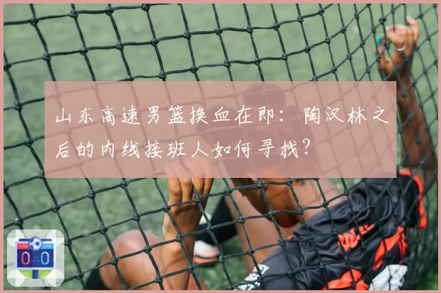 山东高速男篮换血在即:陶汉林之后的内线接班人如何寻找?