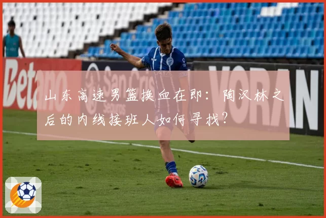 山东高速男篮换血在即:陶汉林之后的内线接班人如何寻找?