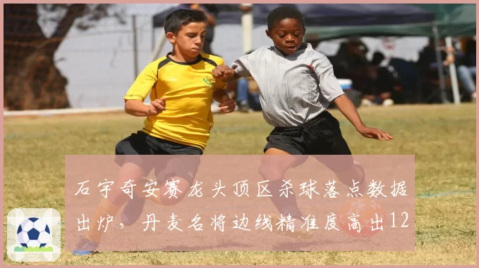 石宇奇安赛龙头顶区杀球落点数据出炉，丹麦名将边线精准度高出12个百分点
