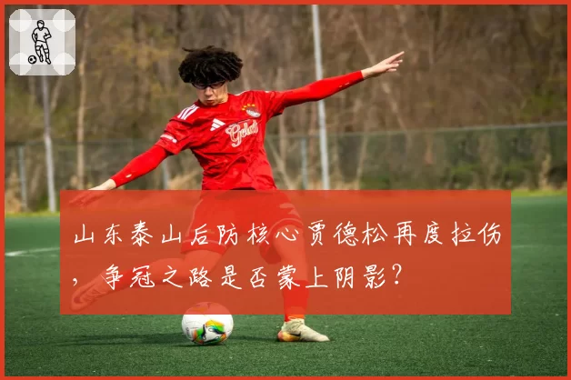 山东泰山后防核心贾德松再度拉伤,争冠之路是否蒙上阴影?