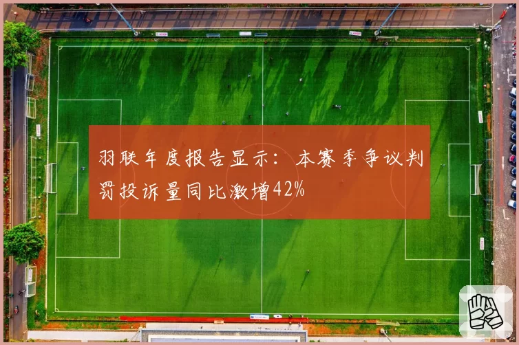 羽联年度报告显示：本赛季争议判罚投诉量同比激增42%